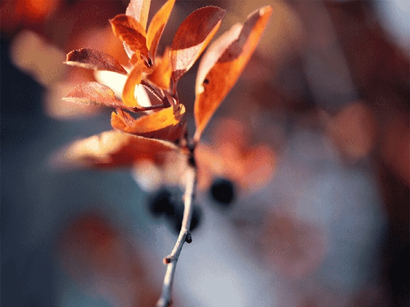 人工受孕过程及费用（病毒采样试管厂家）